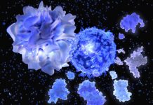 Tr1X Bio: Inovație în Terapia cu Celule Treg pentru Combaterea GvHD