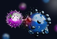 Celulele NK Modificate – O Nouă Speranță pentru Combaterea HIV Latent