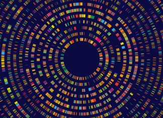 Am sărit prea repede în testarea genetică comercială fără să o înțelegem cu adevărat? 0 (0)