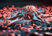 Descoperirea Structurilor Interne ale Condensatelor Biomoleculare Poate Revoluționa Tratamentele pentru Cancer și Boli Neurodegenerative