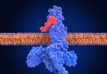 Descoperirea Biomarkerilor Genetici Care Pot Prezice Eficacitatea Terapiilor GLP-1