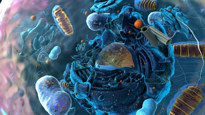 GettyImages-1768824394