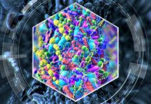 Descoperire Majoră: 11 Variante Genetice Influentează Compoziția Microbiomului Intestinal