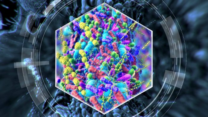 GettyImages-2151078947