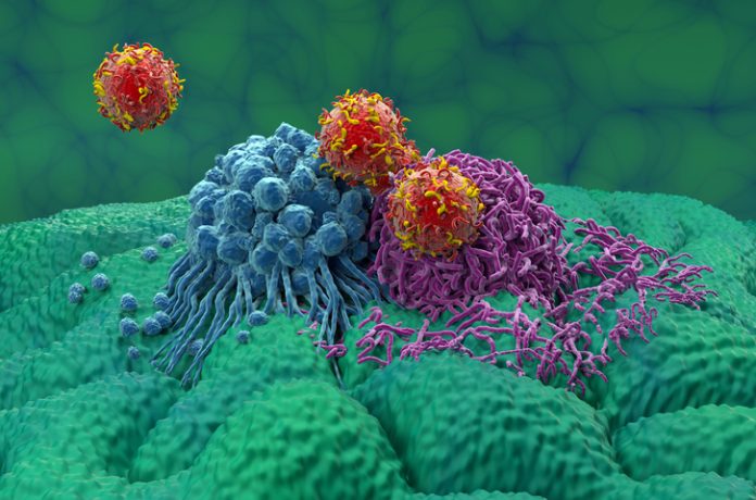 GettyImages-2172900912