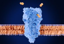 Descoperirea Variantei Genetice Rare Care Reduce Consumul de Țigări