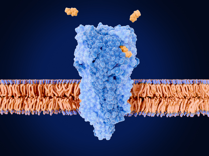 GettyImages-2223202010