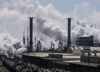 Colapsul aplicării legislației de mediu sub administrația Trump, dezvăluie un nou raport 0 (0)