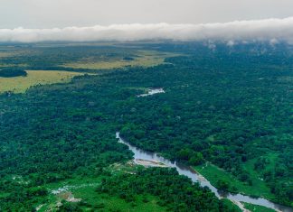 COVID-19 a Curățat Cerurile, dar a Accelerat Eliberarea Metanului în Atmosferă 3 (3)
