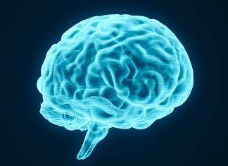 Celule „Paznic” Descoperite în Creier Dezvăluie un Sistem de Apărare Ascuns 0 (0)