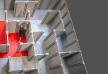 Reprogramarea Celulară Poate Revigora Neuronii Responsabili de Memorare