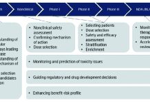Strategii Inovative în Dezvoltarea Medicamentelor Ghidate de Biomarkeri