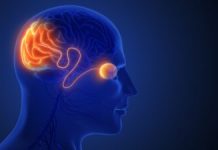 Prima Încercare de Reprogramare Celulară la Om, Aprobată de FDA