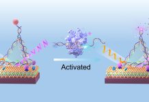 Senzorul cuantic revoluționează detectarea biomarkerilor de cancer din sânge la niveluri extrem de scăzute