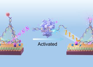 Senzorul cuantic revoluționează detectarea biomarkerilor de cancer din sânge la niveluri extrem de scăzute 0 (0)