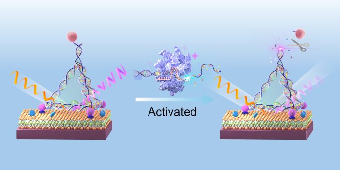 Quantum-Sensor-Han-Zhang-Shenzen-University-scaled
