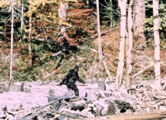 “Nu e niciun unicorn”: Cercetări profunde cu vânătorii de Bigfoot 0 (0)