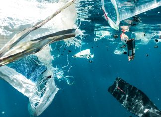 Ce este bioplasticul și cum poate reduce poluarea globală 0 (0)