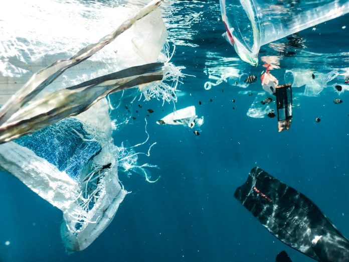 Ce este bioplasticul și cum poate reduce poluarea globală