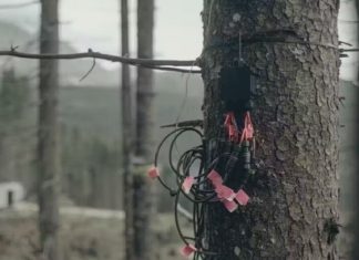 Studiu controversat despre capacitatea brazilor de a anticipa eclipsele solare este contestat 5 (2)