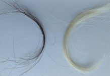 Un secol de probe din păr demonstrează eficacitatea interzicerii benzinei cu plumb