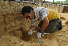 Descoperirea revoluționară a craniilor fosilizate de Homo erectus din China, mult mai vechi decât se credea