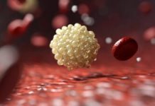 Descoperirea unor Acizi Grași Polinesaturați cu Activitate Senolitică – Speranțe Noi în Lupta Împotriva Îmbătrânirii