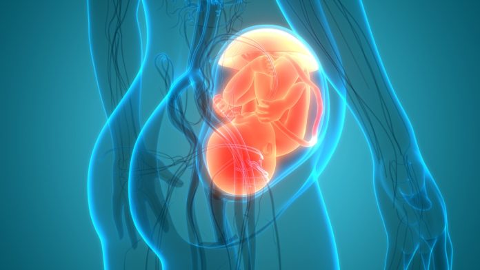 GettyImages-1227093550-scaled