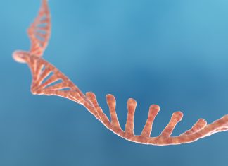 “Materie Genetică Obscură” Deschide Calea Către O Nouă Clasă de Terapeutice 0 (0)