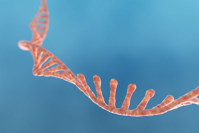 GettyImages-1356993455