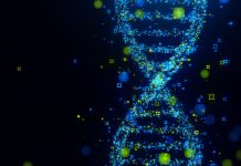 Modelul revoluționar de inteligență artificială în genomica extinsă: Evo 2, deschizător de drumuri în biotehnologie