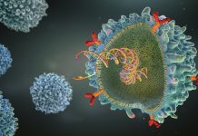 Terapia Inovatoare CAR T În Vivo Confruntată cu Reacții Adverse Serioase în Cadrul unui Studiu Preliminar