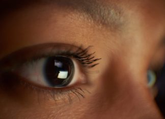 Cum și-au Reinventat Vertebratele Ochii: O Nouă Perspectivă Evolutivă 0 (0)