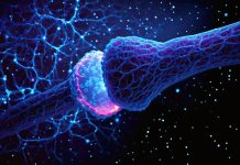 Terapie Inovatoare pentru ALS Combină Antibiotice și Antiinflamatoare în Studiul Fazei II