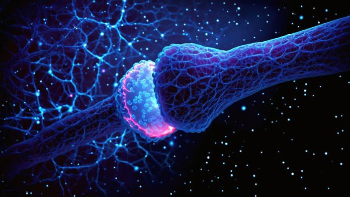 GettyImages-2162090799