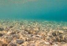 Exploatarea Minelor din Adâncul Oceanului: O Soluție Sustenabilă sau un Risc Ecologic?