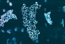 Răspunsul la Medicamentele pentru Slăbire GLP-1 Variază în Funcție de Originea Ancestrală