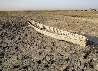 Rezistența Antibiotică Crește în Perioadele de Secetă, Arată un Studiu Recent 0 (0)