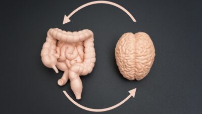 Gut-brain-axis-400x225