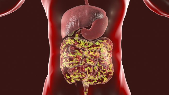GutMicrobiome-1196631894