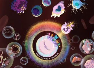 Celule Stem Universale cu “Mantie” Genetică: O Nouă Eră în Terapia Regenerativă 0 (0)