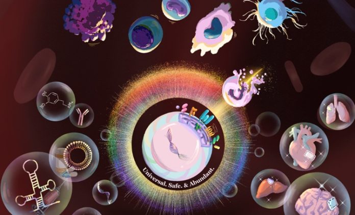 HKU-SafeCell-AlloAccept-stem-cells