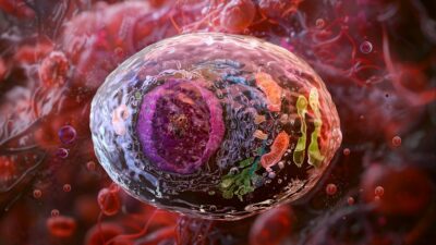 Immune-cell-in-living-tissue-400x225