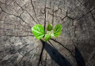 O Perspectivă Pozitivă asupra Vârstei Poate Îmbunătăți Calitatea Îmbătrânirii 4 (1)