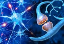 Descoperire În Medicina Parkinson: Deficiența de ATP și Impactul asupra Dopaminei