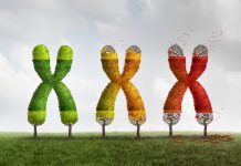 Modelul AI Prezice Lungimea Telomerilor Folosind Imagini Obișnuite de Biopsie