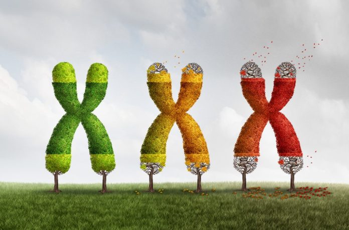 Telomeres-806960852-1024x676