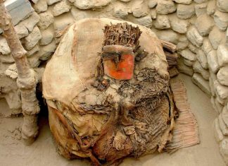 Cum Importau Papagali Exotici Regatele Pre-Incașe din Peru 0 (0)