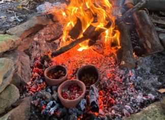 Redescoperirea bucătăriei complexe a europenilor preistorici 0 (0)