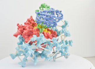 Descifrarea structurii proteinelor: Cheia către noi medicamente. 0 (0)